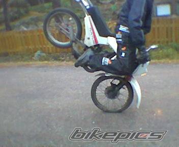 Photo 79359