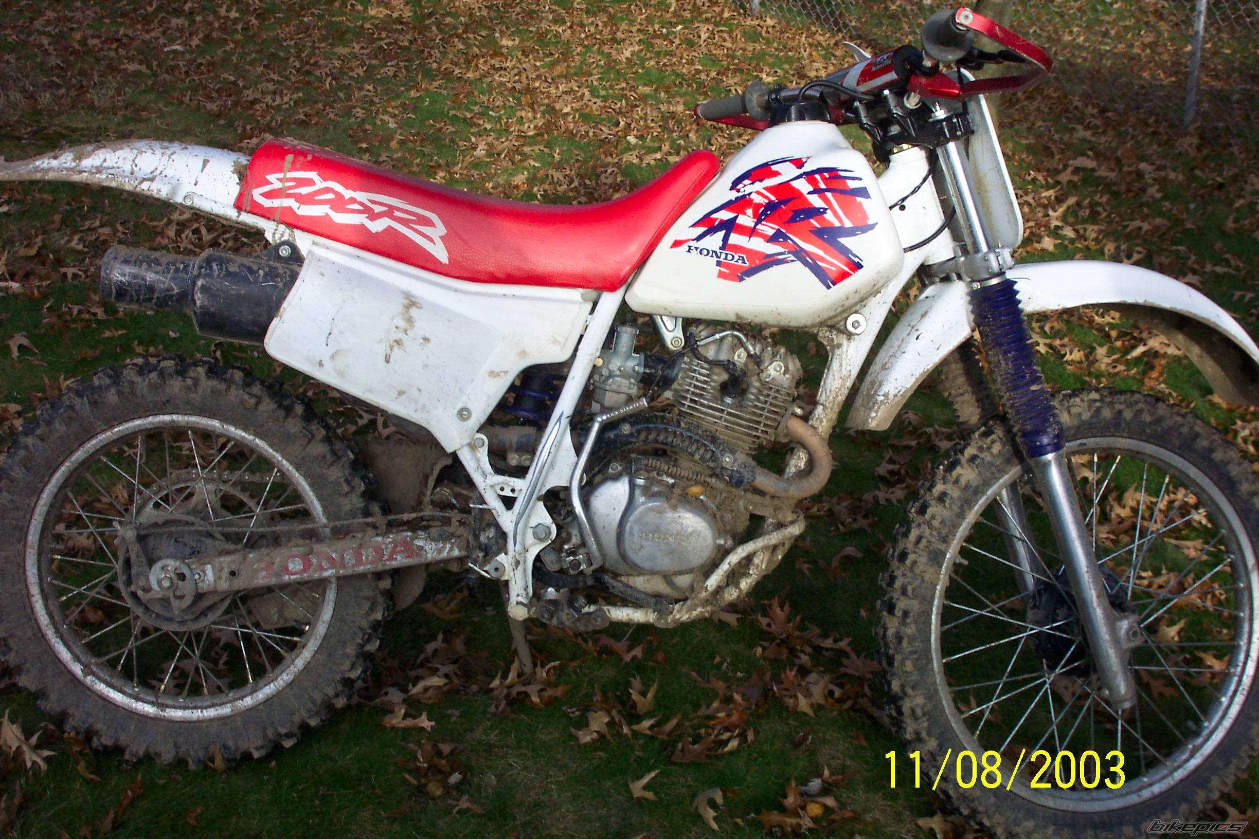Bike Photo 79385