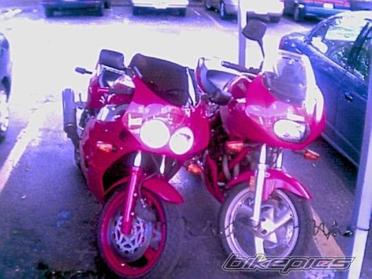Photo 7940