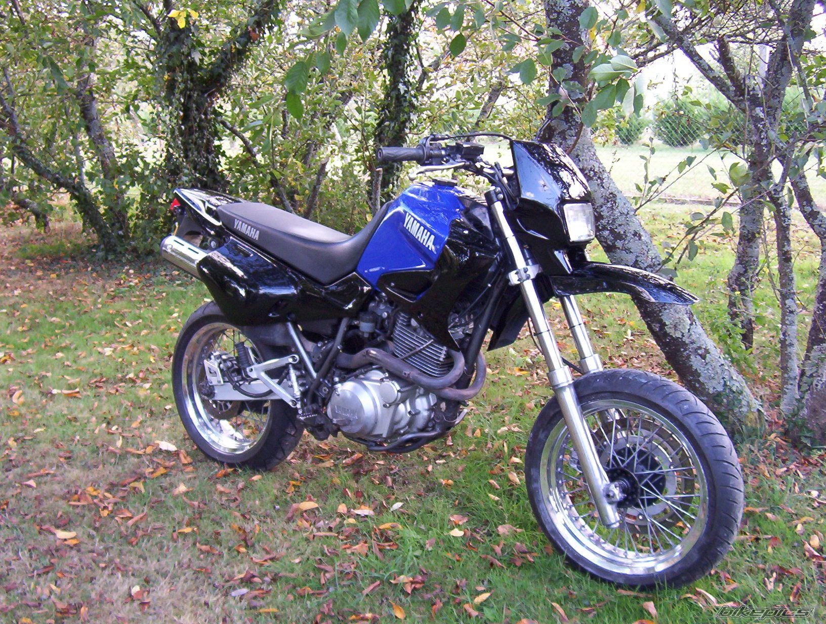 Photo 794091