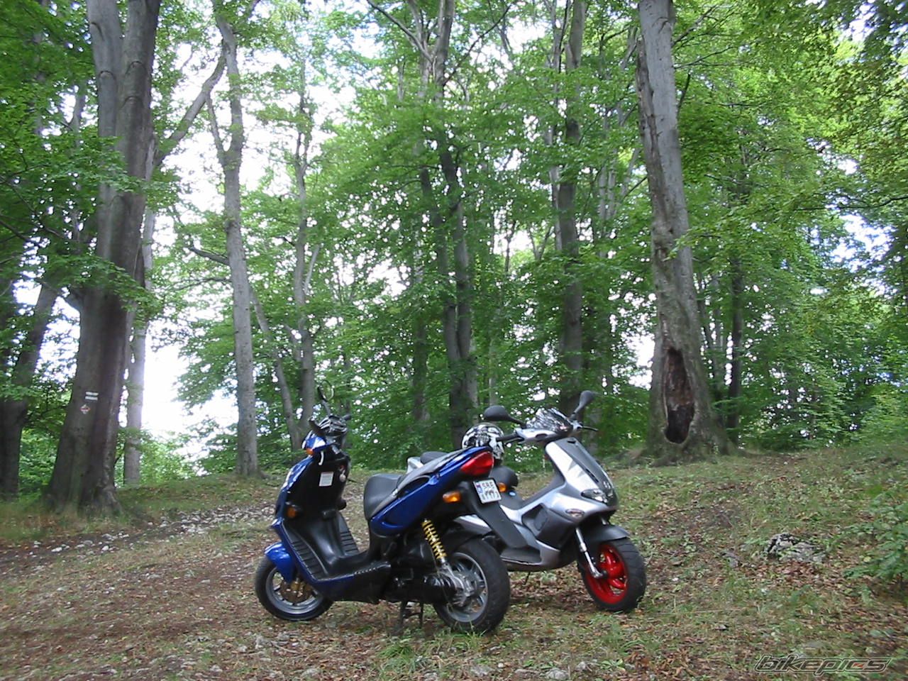 Bike Photo 794533