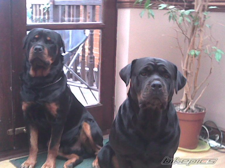 Photo 794614