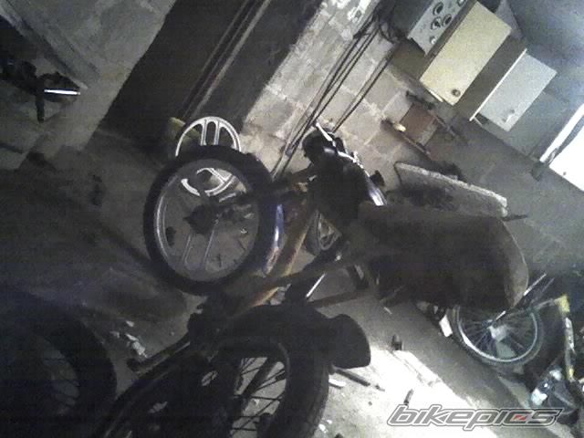 Photo 794655