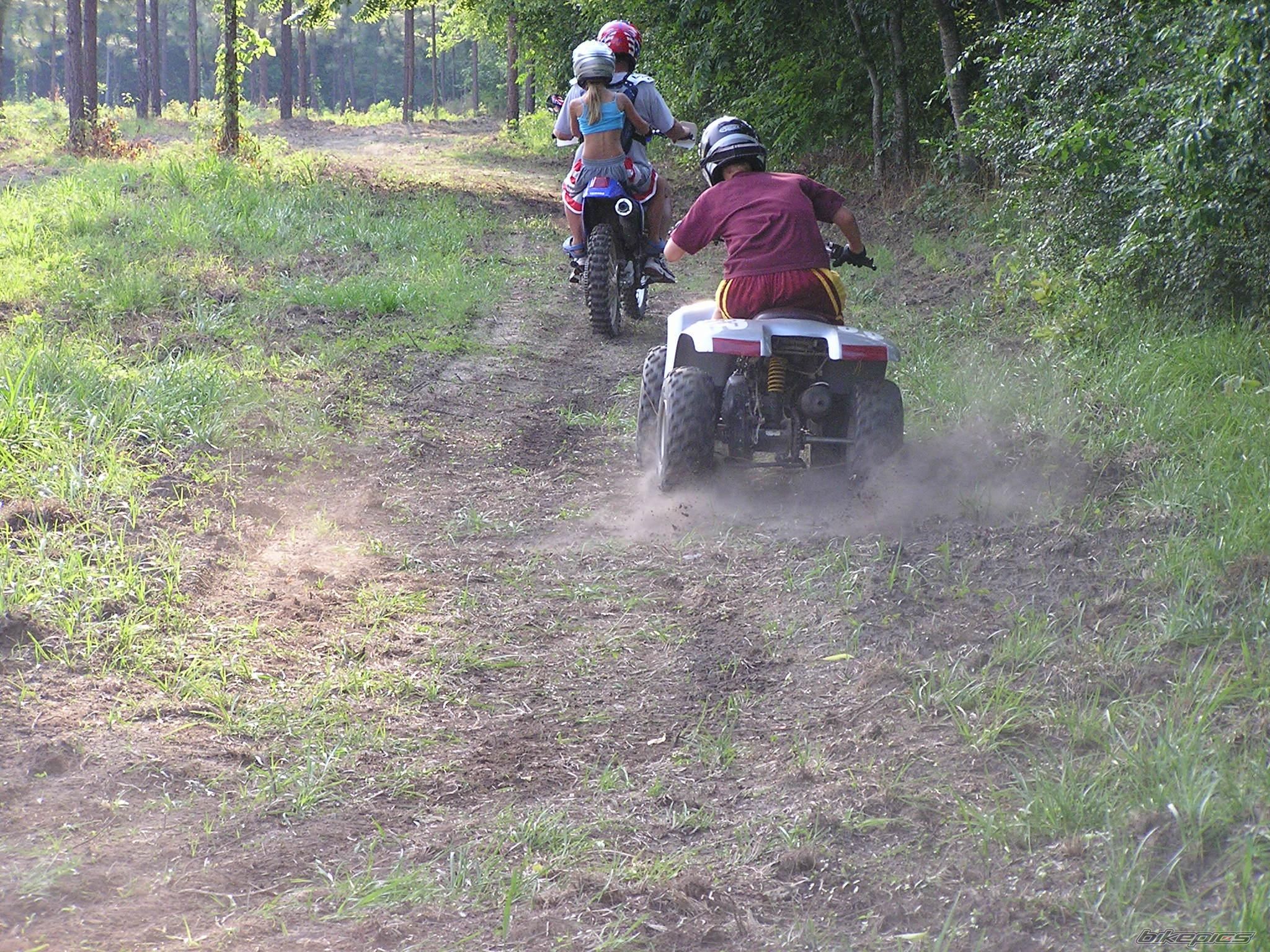 Photo 794727