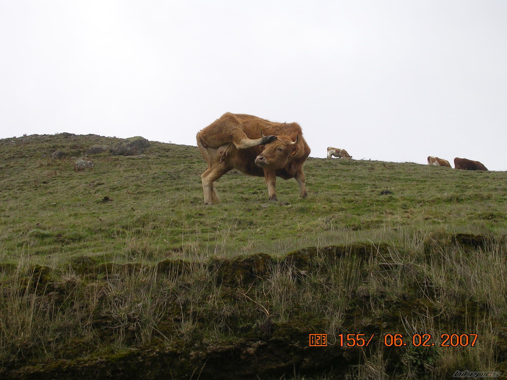 Photo 794986