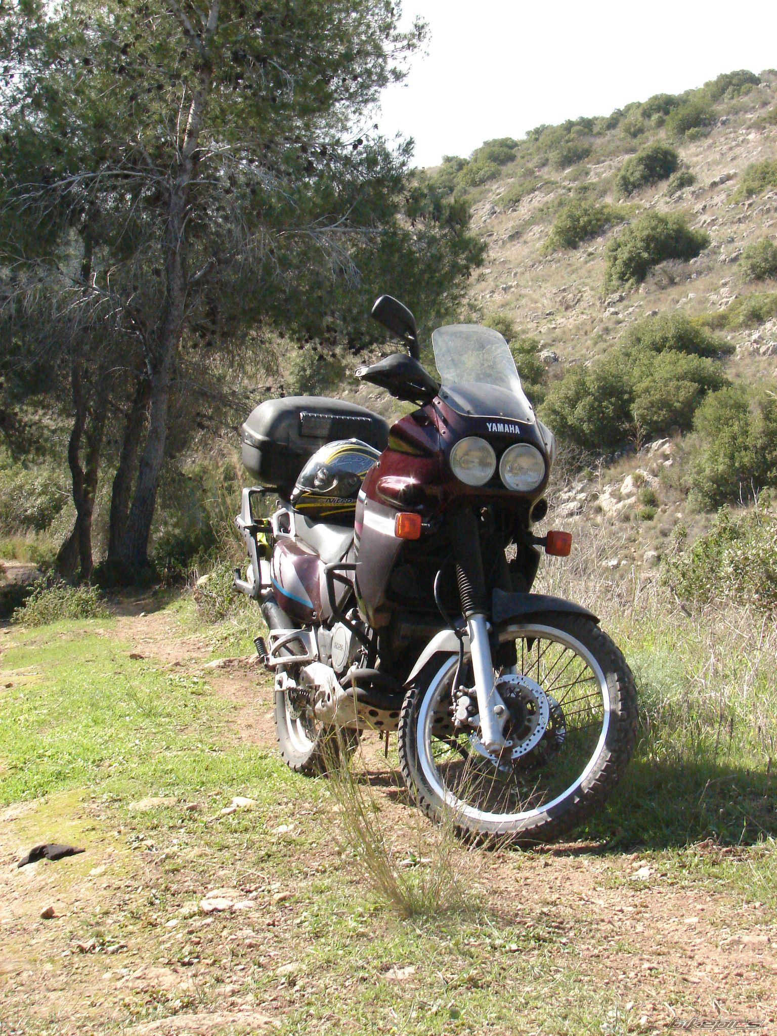 Bike Photo 794996