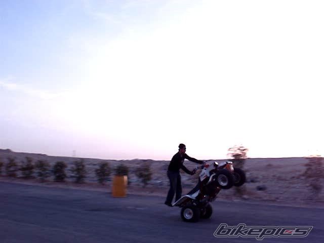 Photo 795097