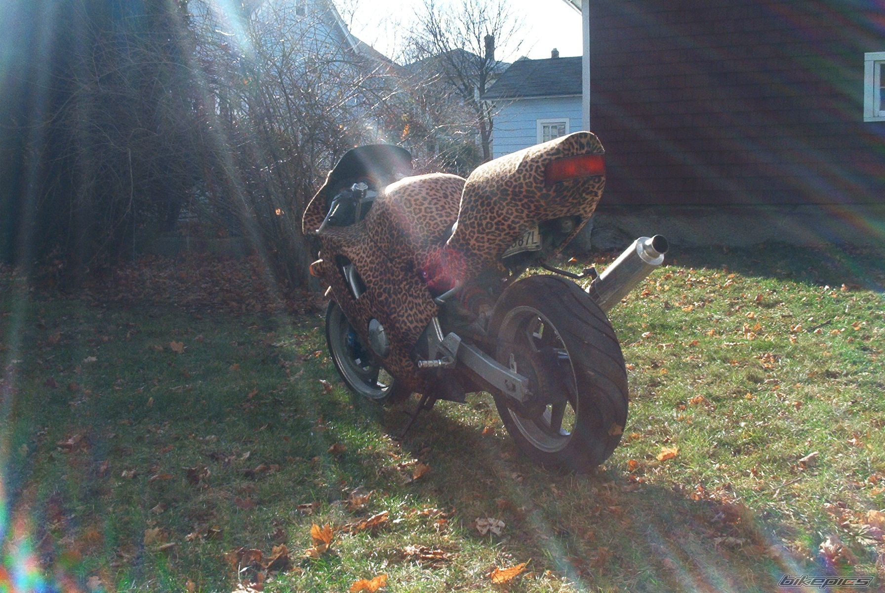 Bike Photo 795117