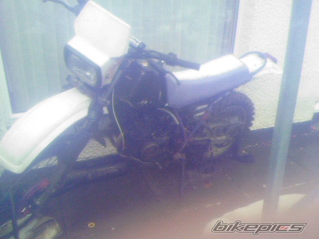 Bike Photo 795389