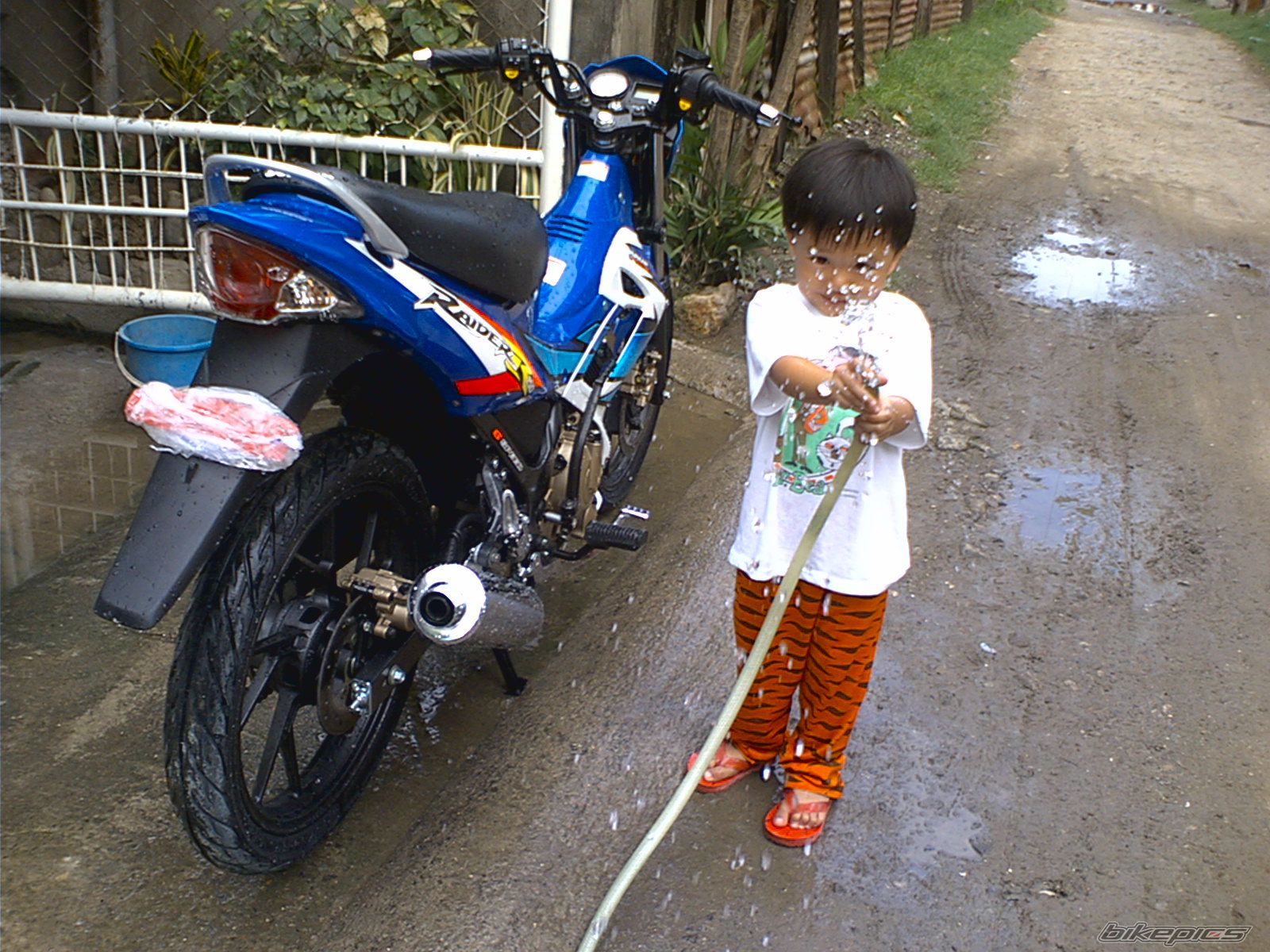 Photo 795397