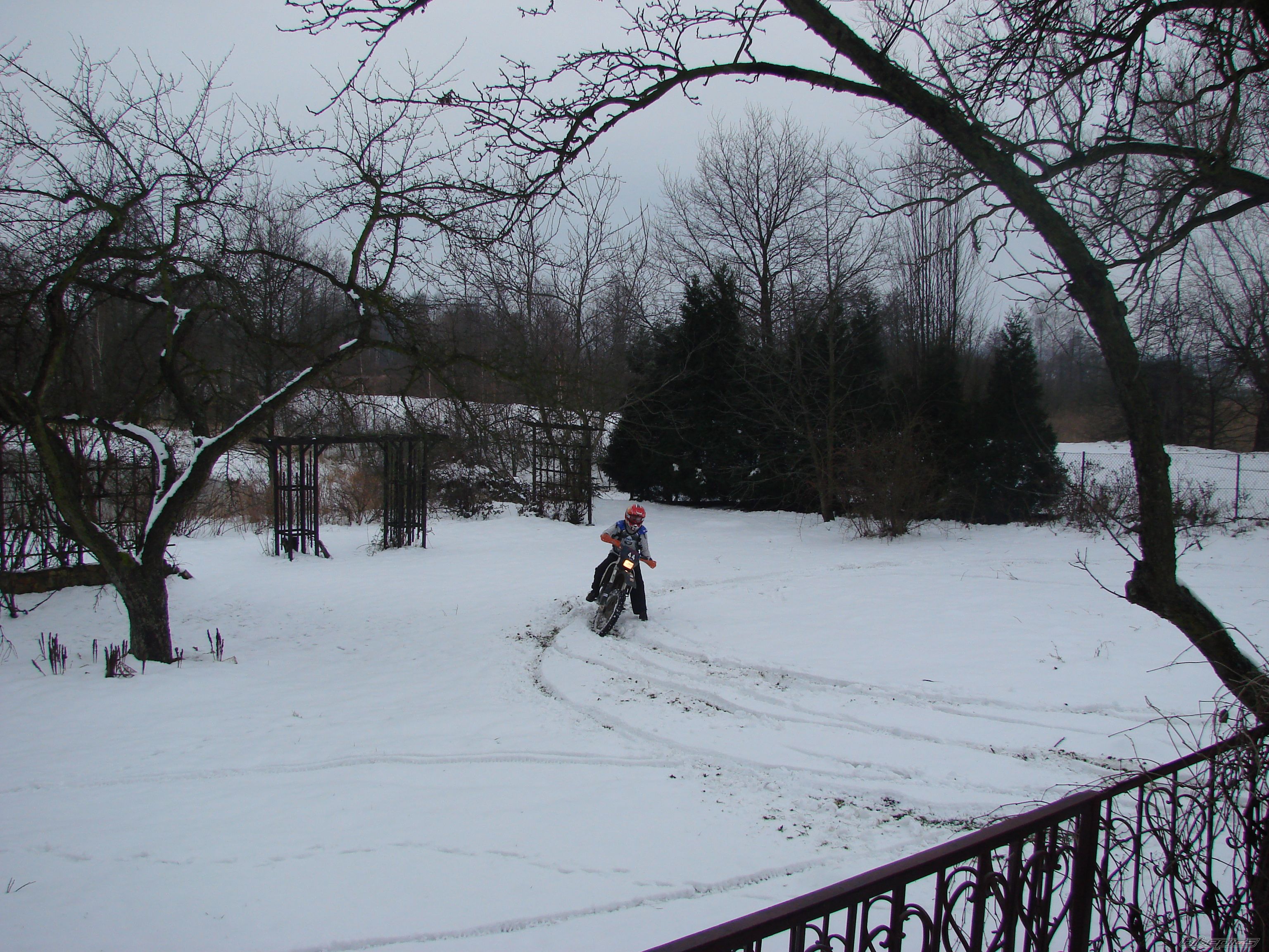 Photo 795472