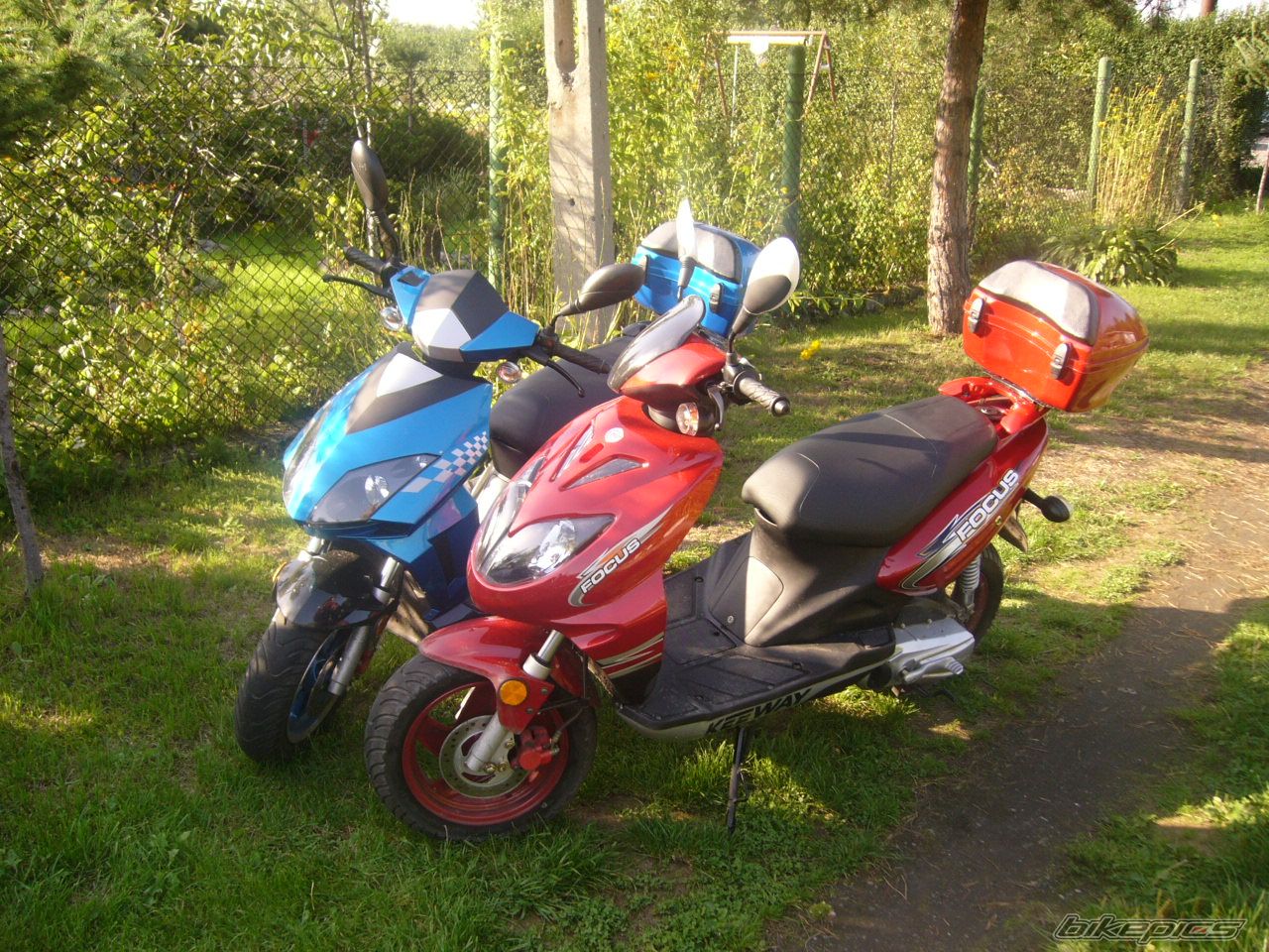 Photo 795634