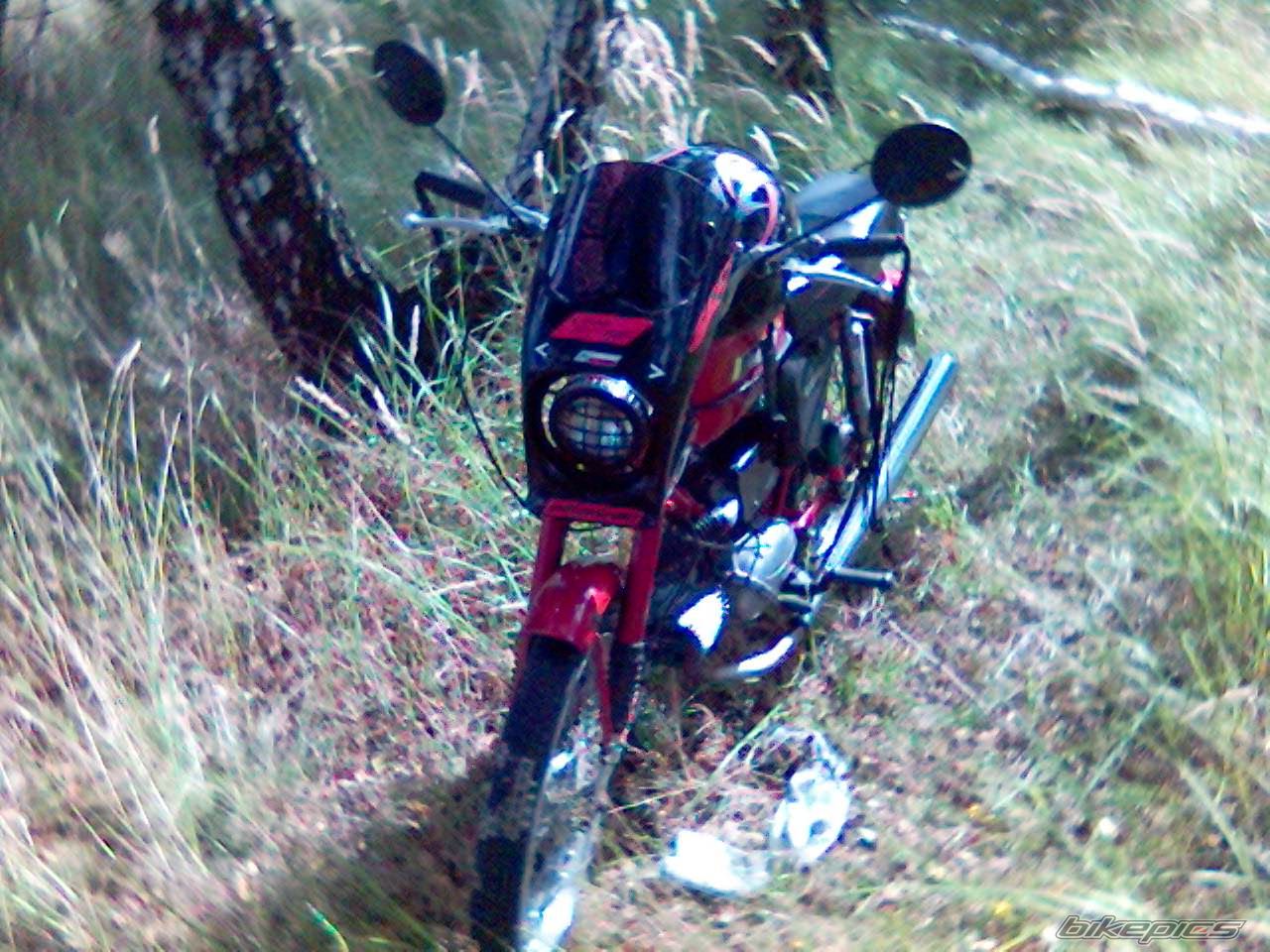 Photo 795693
