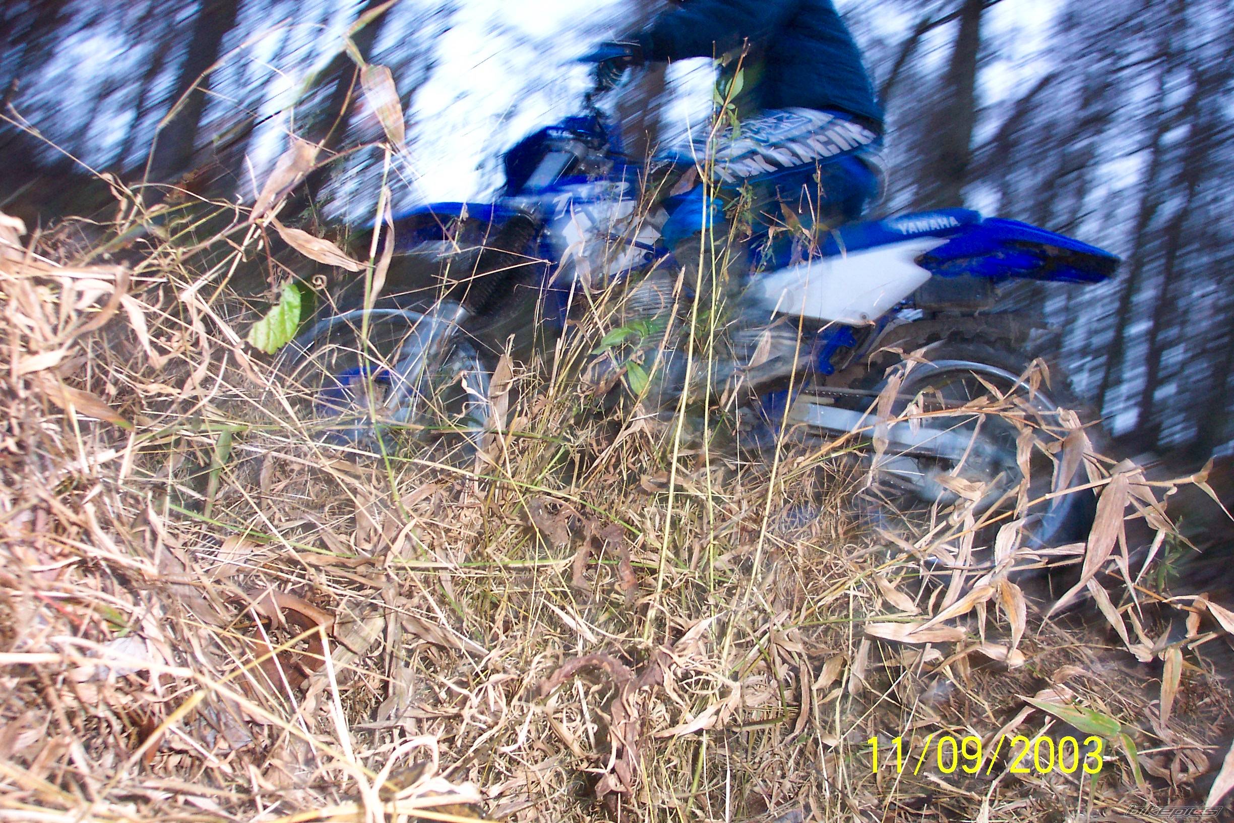 Photo 79606