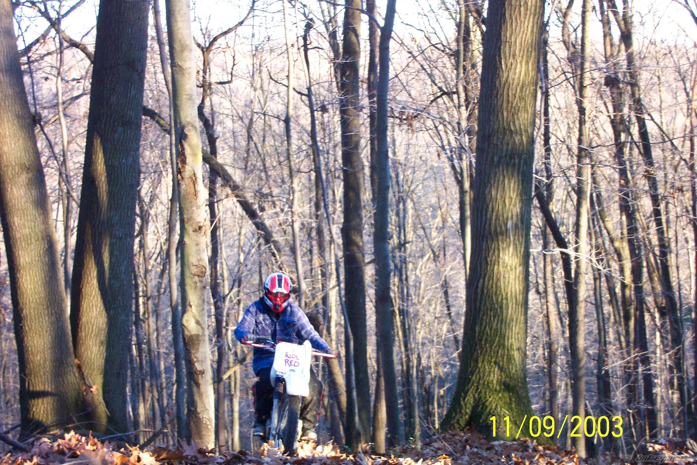 Bike Photo 79616