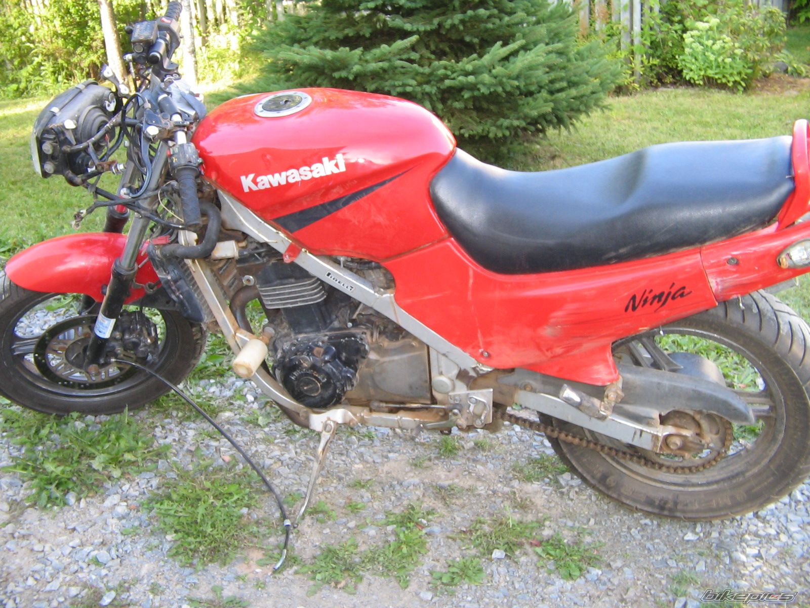 Photo 796259