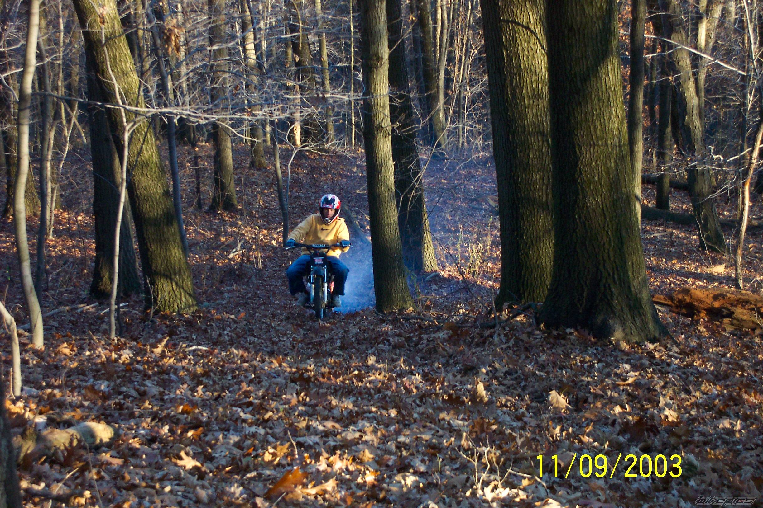 Photo 79629