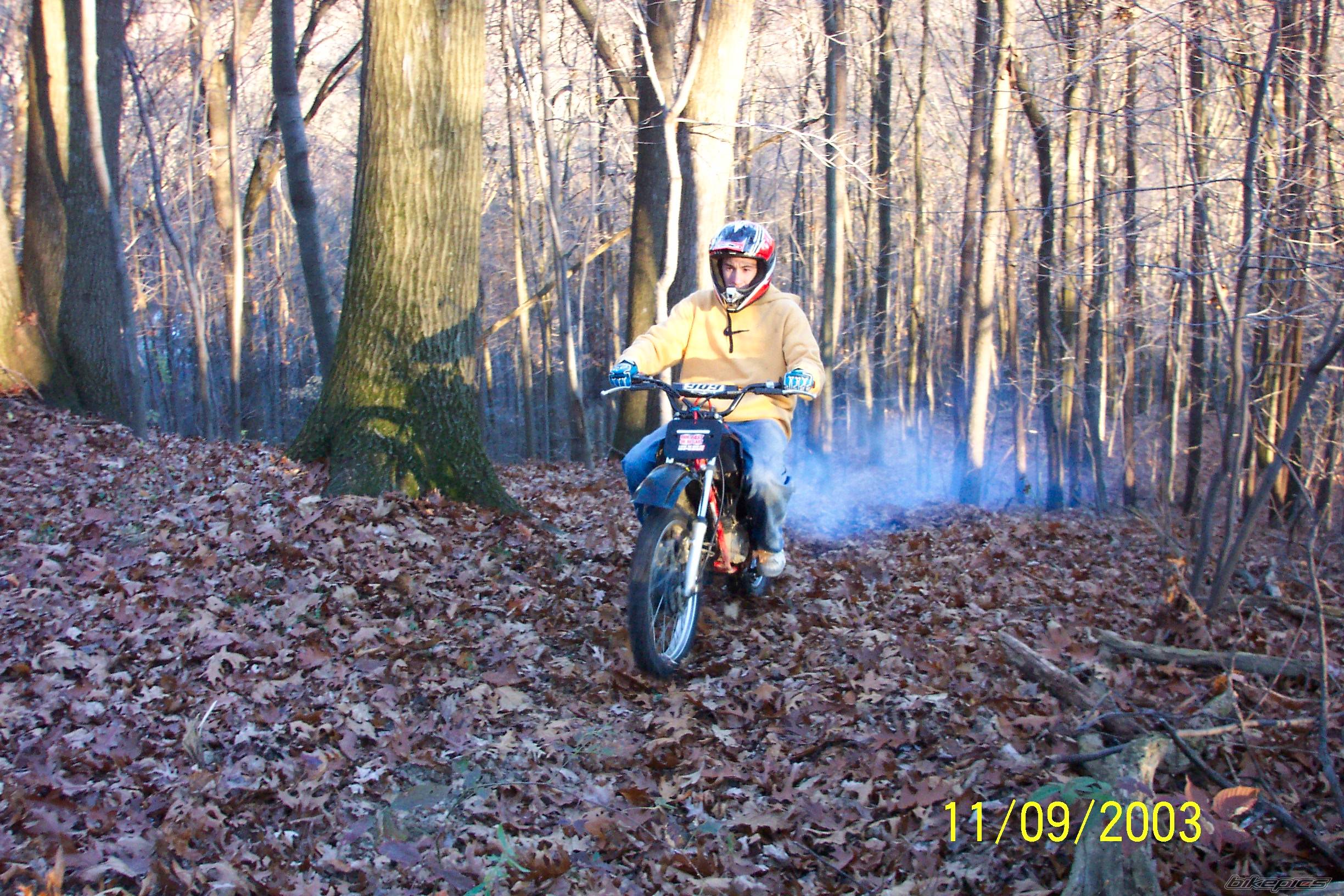 Photo 79632