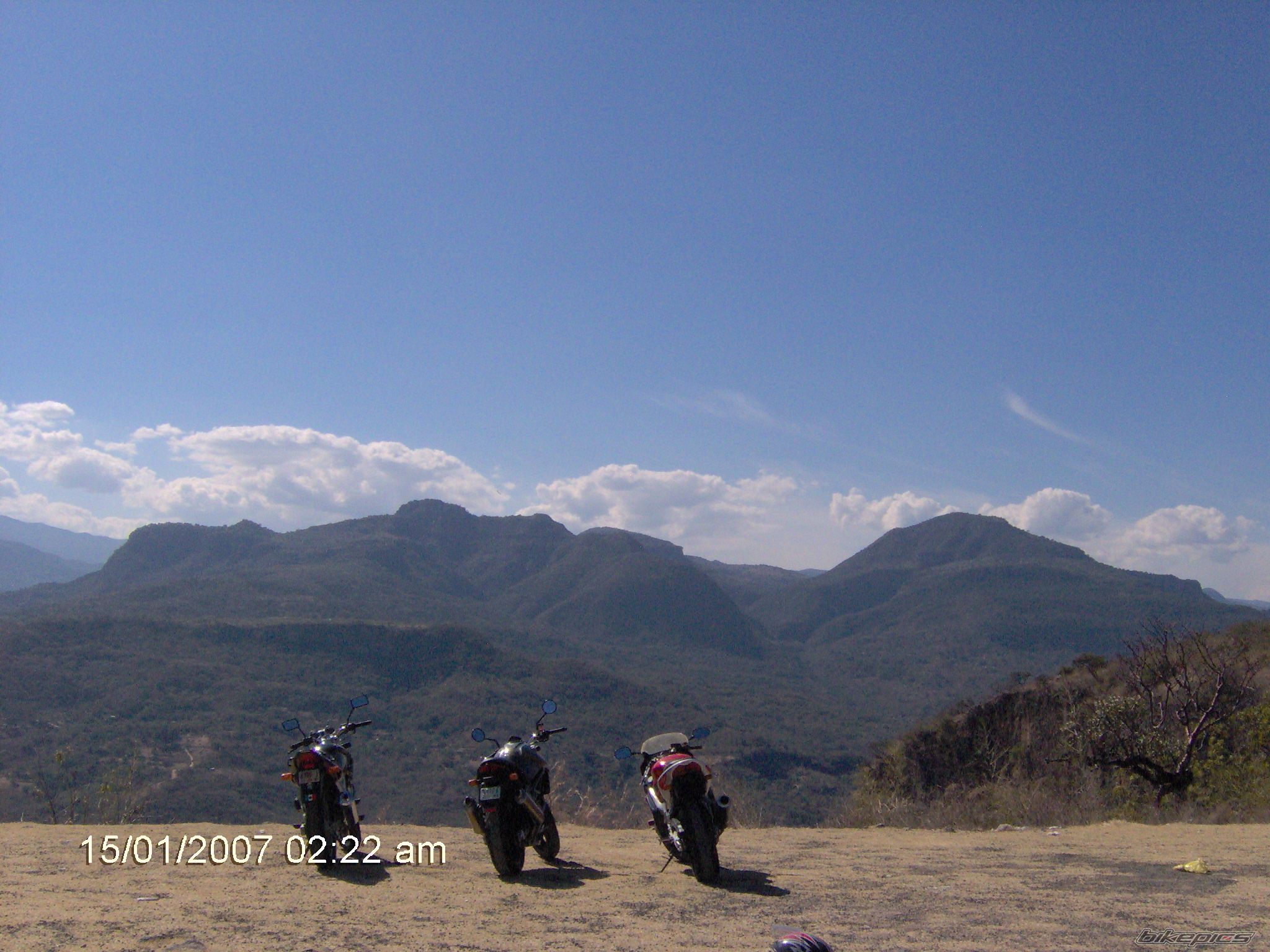 Photo 796328