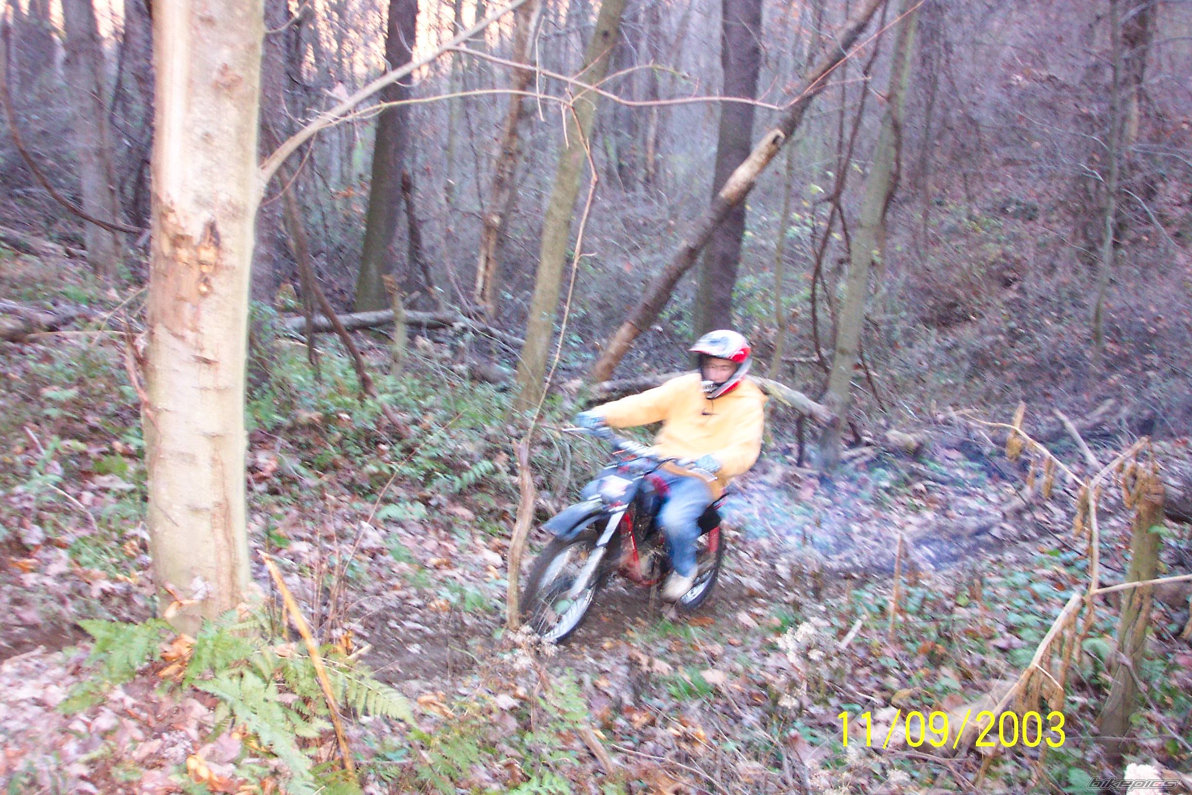 Photo 79633