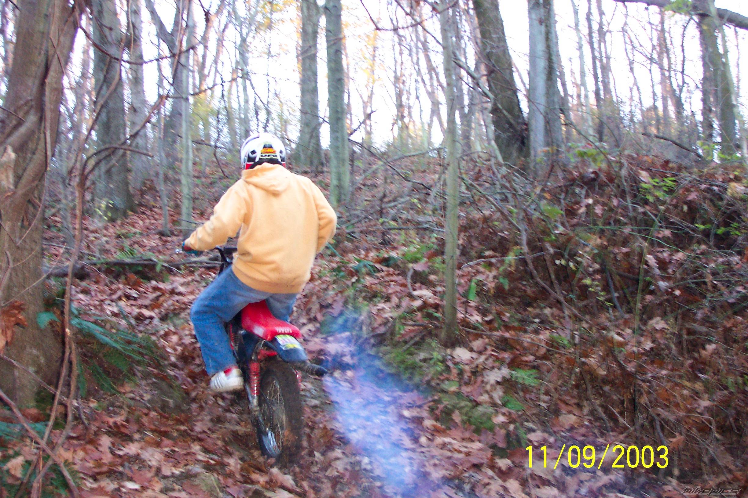 Photo 79635