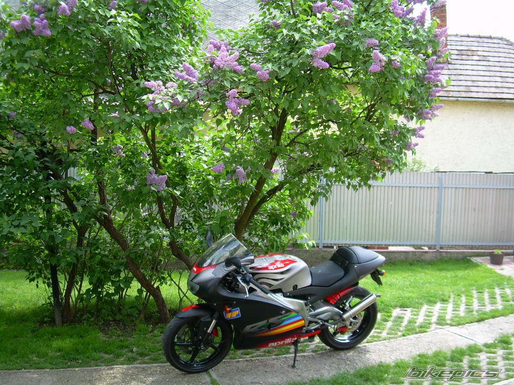 Photo 796372