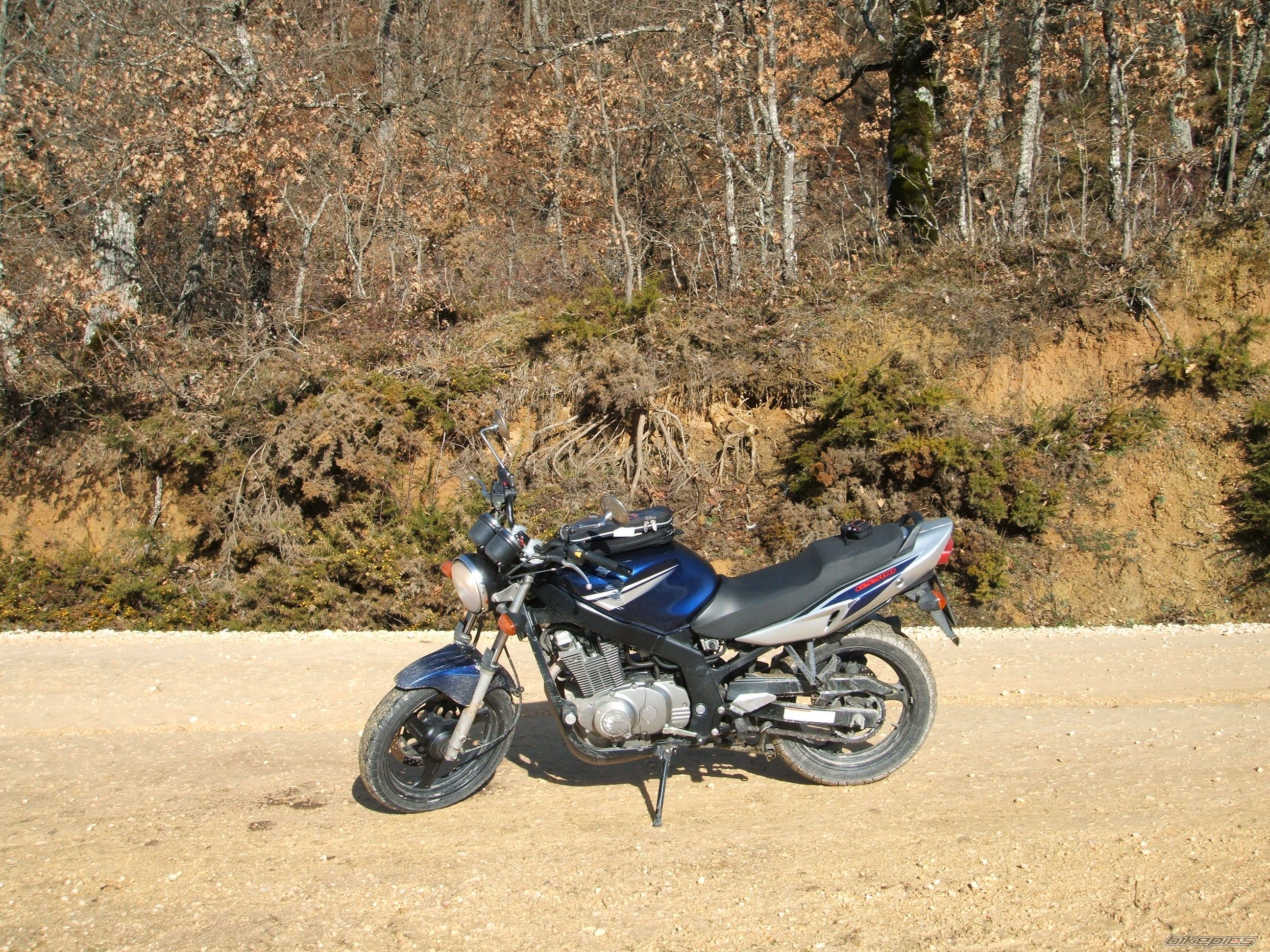 Bike Photo 796446