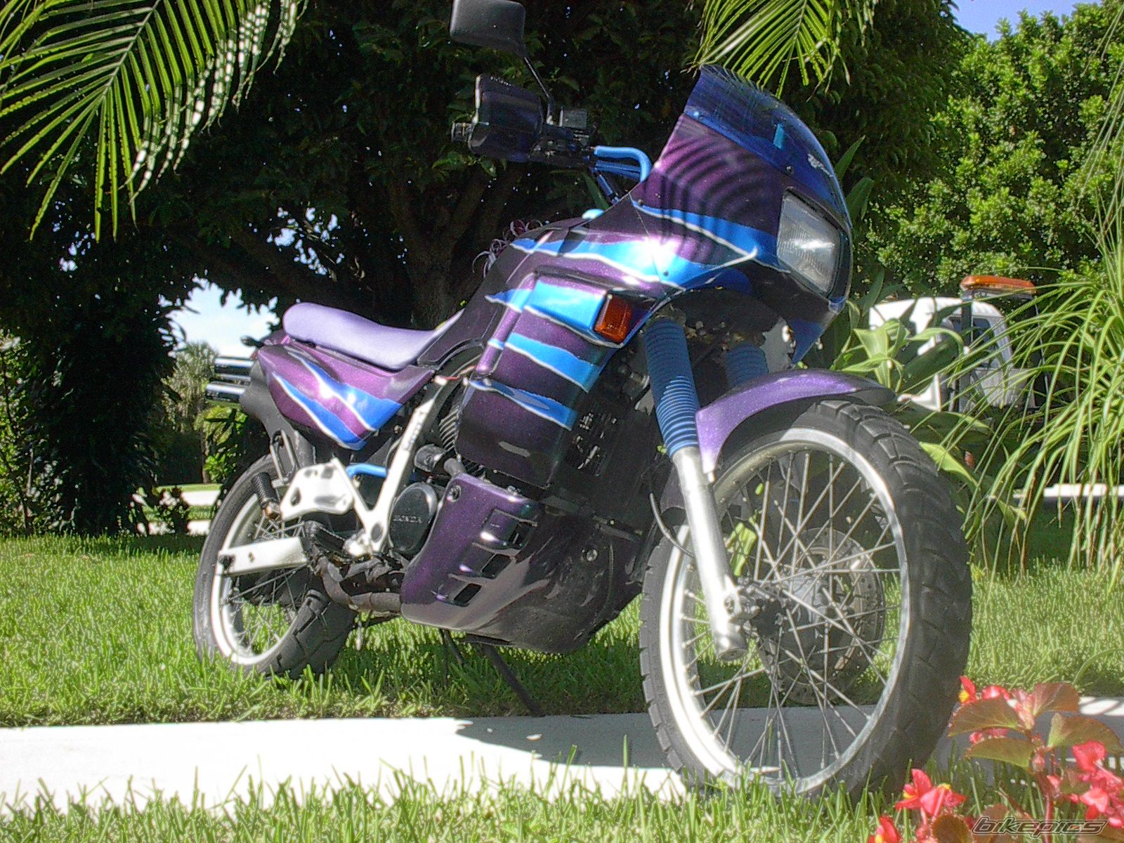 Photo 796478
