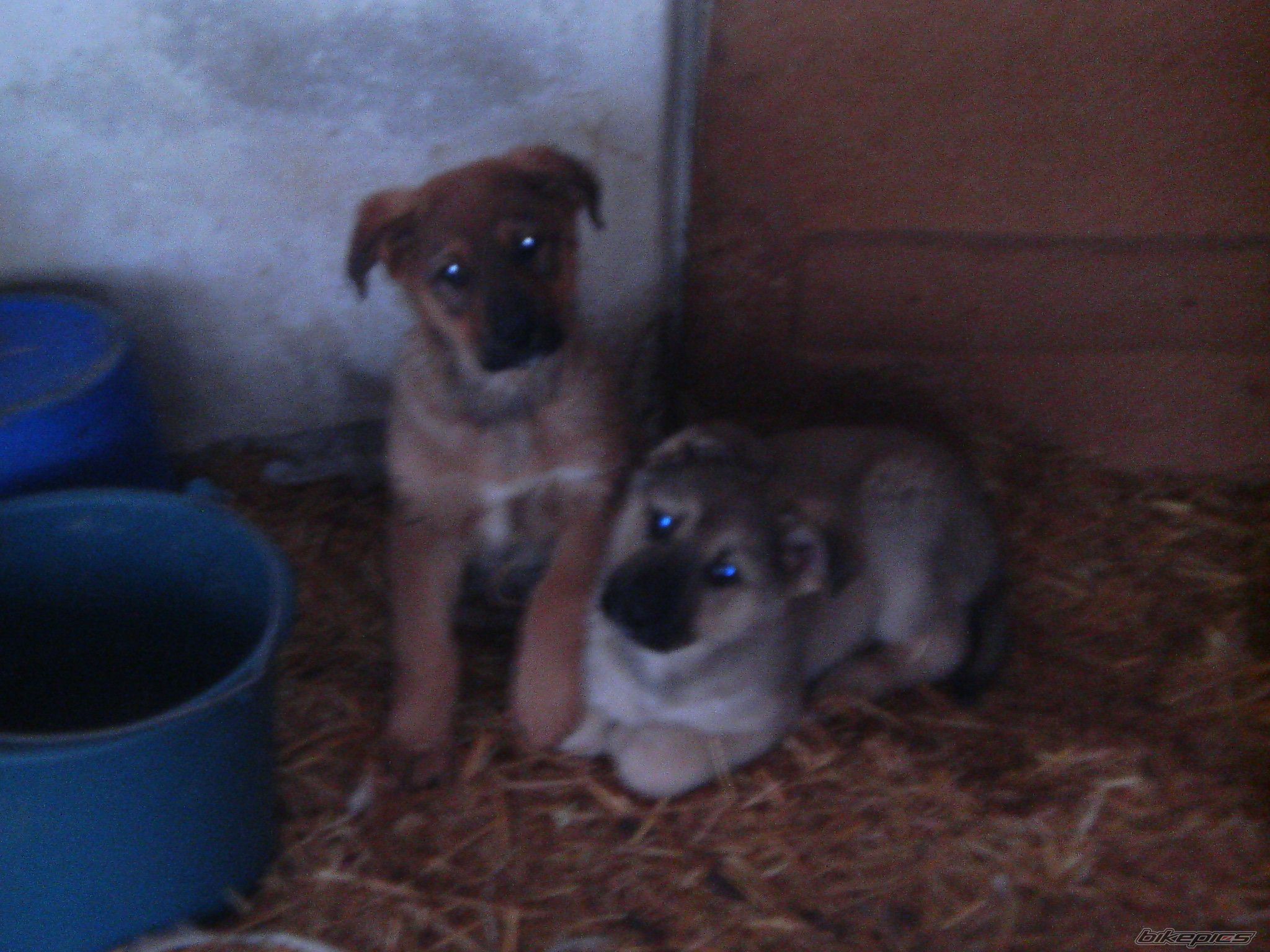 Photo 796633