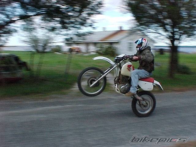 Bike Photo 79674