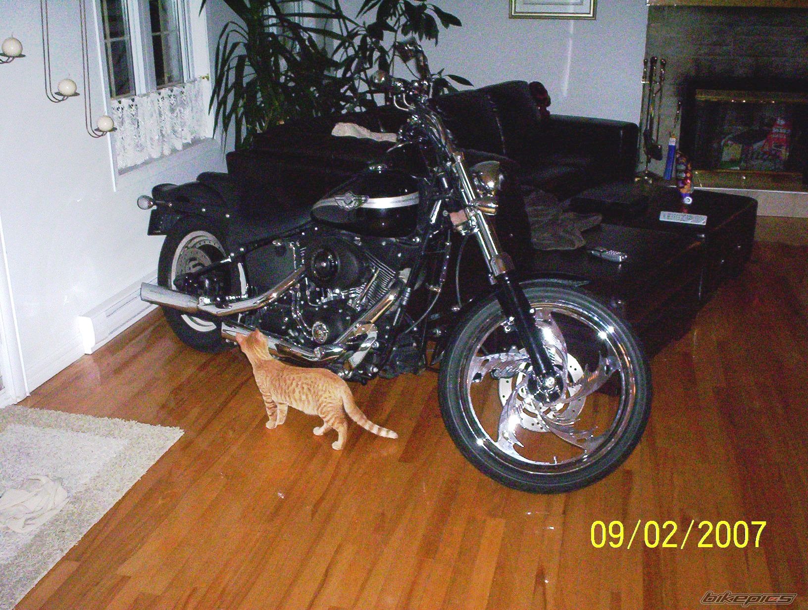 Photo 796950