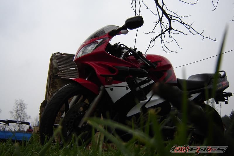 Photo 796977