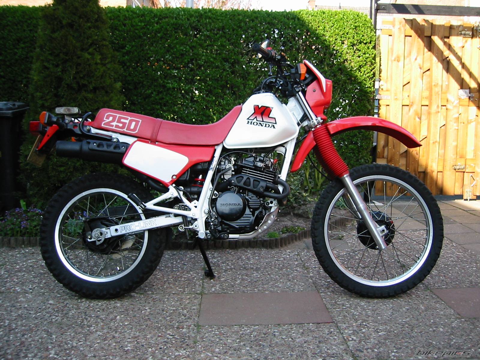 Bike Photo 79710