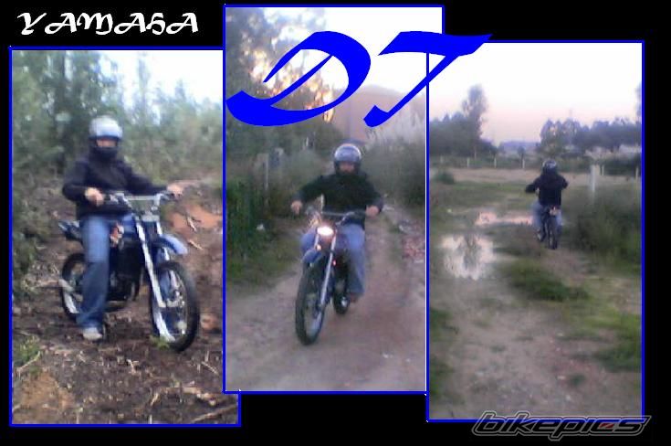 Bike Photo 797208