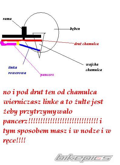 Photo 797254