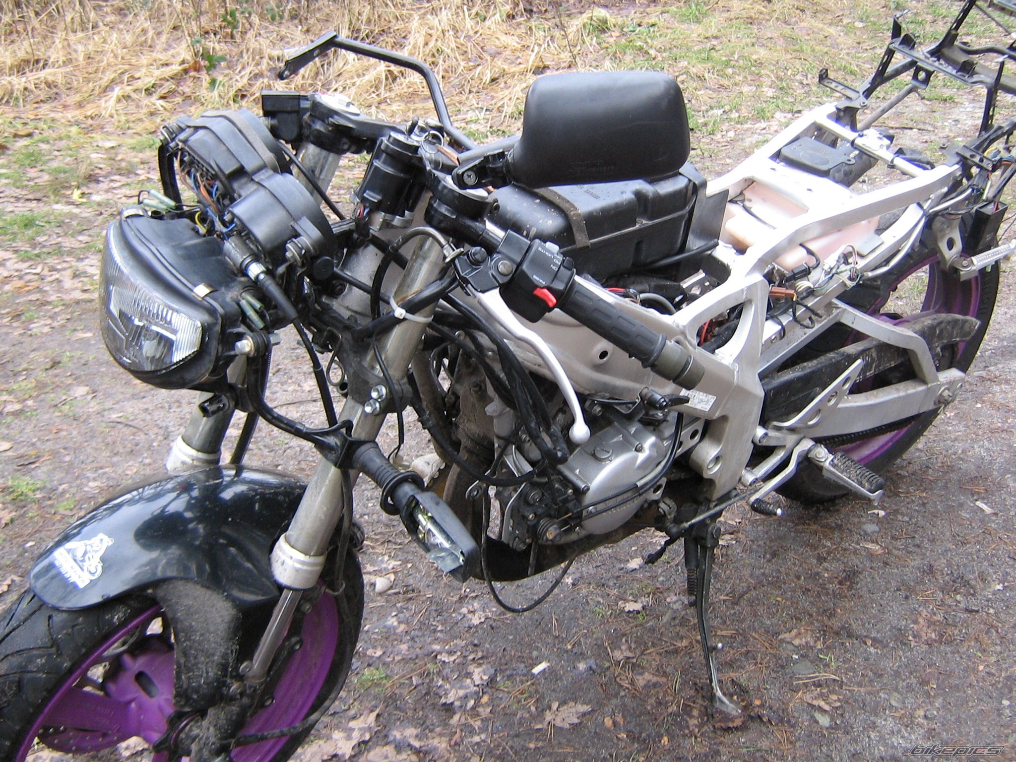 Photo 797265