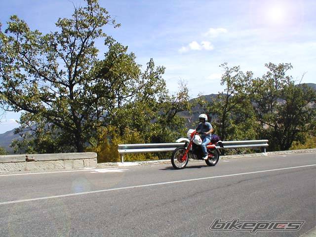 Photo 79731