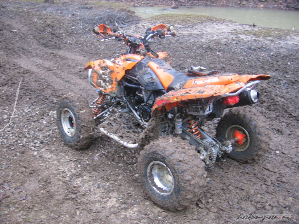 Photo 797326