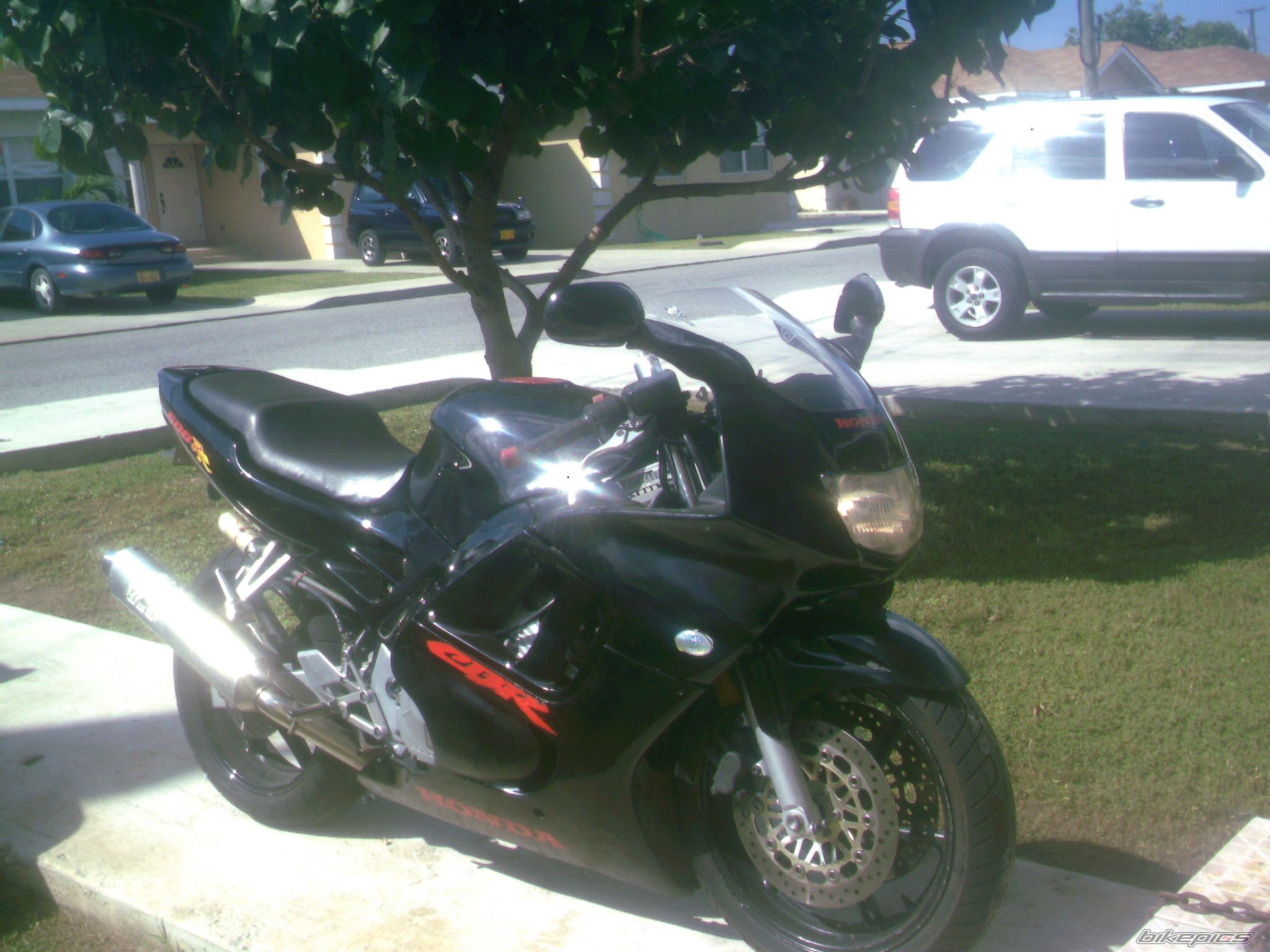 Photo 797353