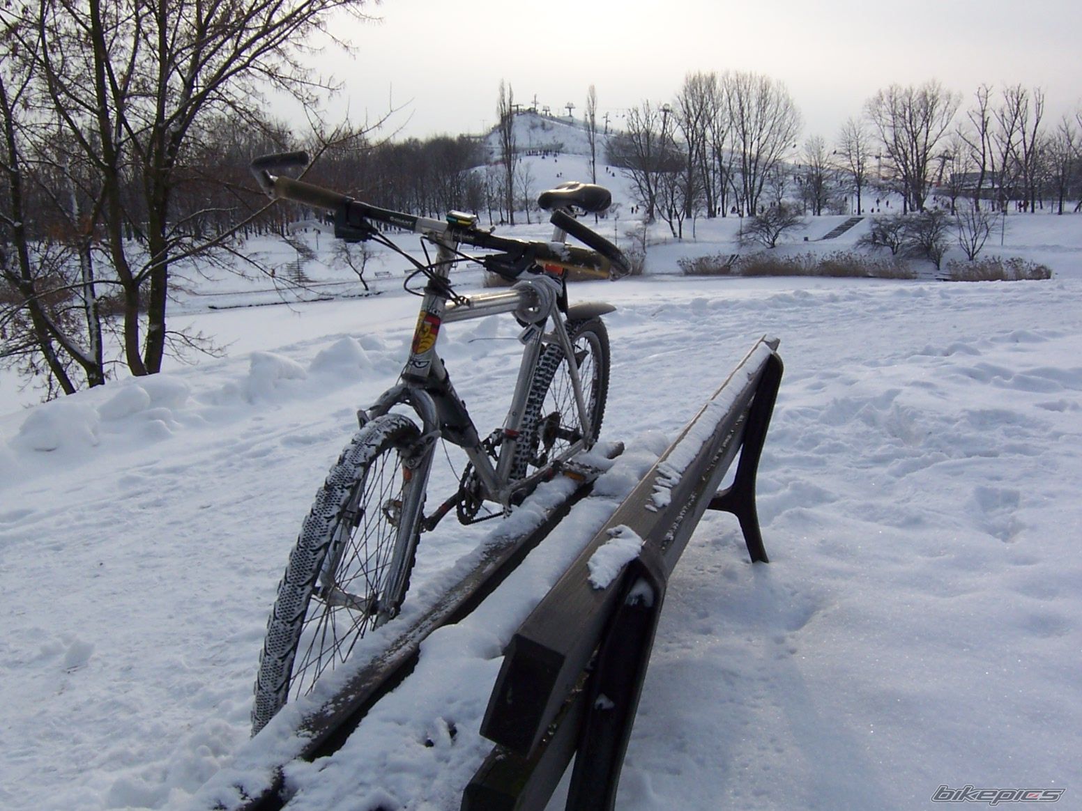 Photo 797422