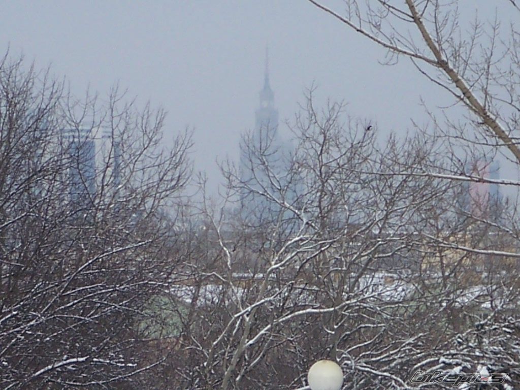 Photo 797446