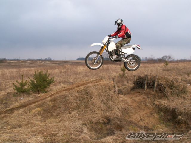 Photo 797741