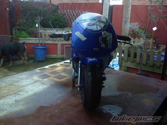 Photo 797798