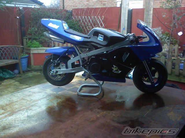 Photo 797799