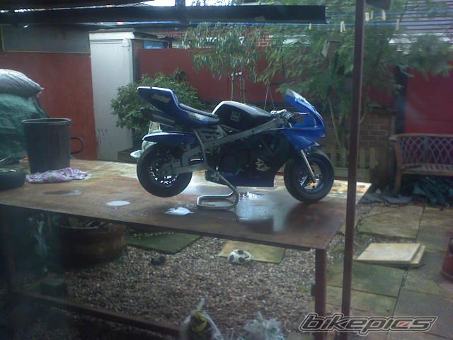 Photo 797802