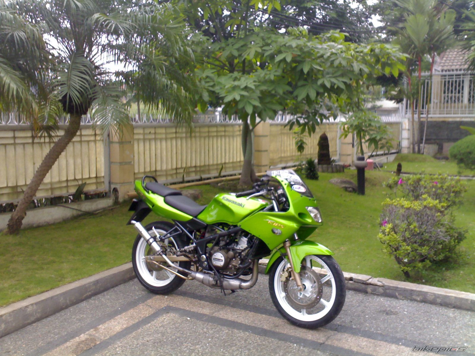 Photo 797875