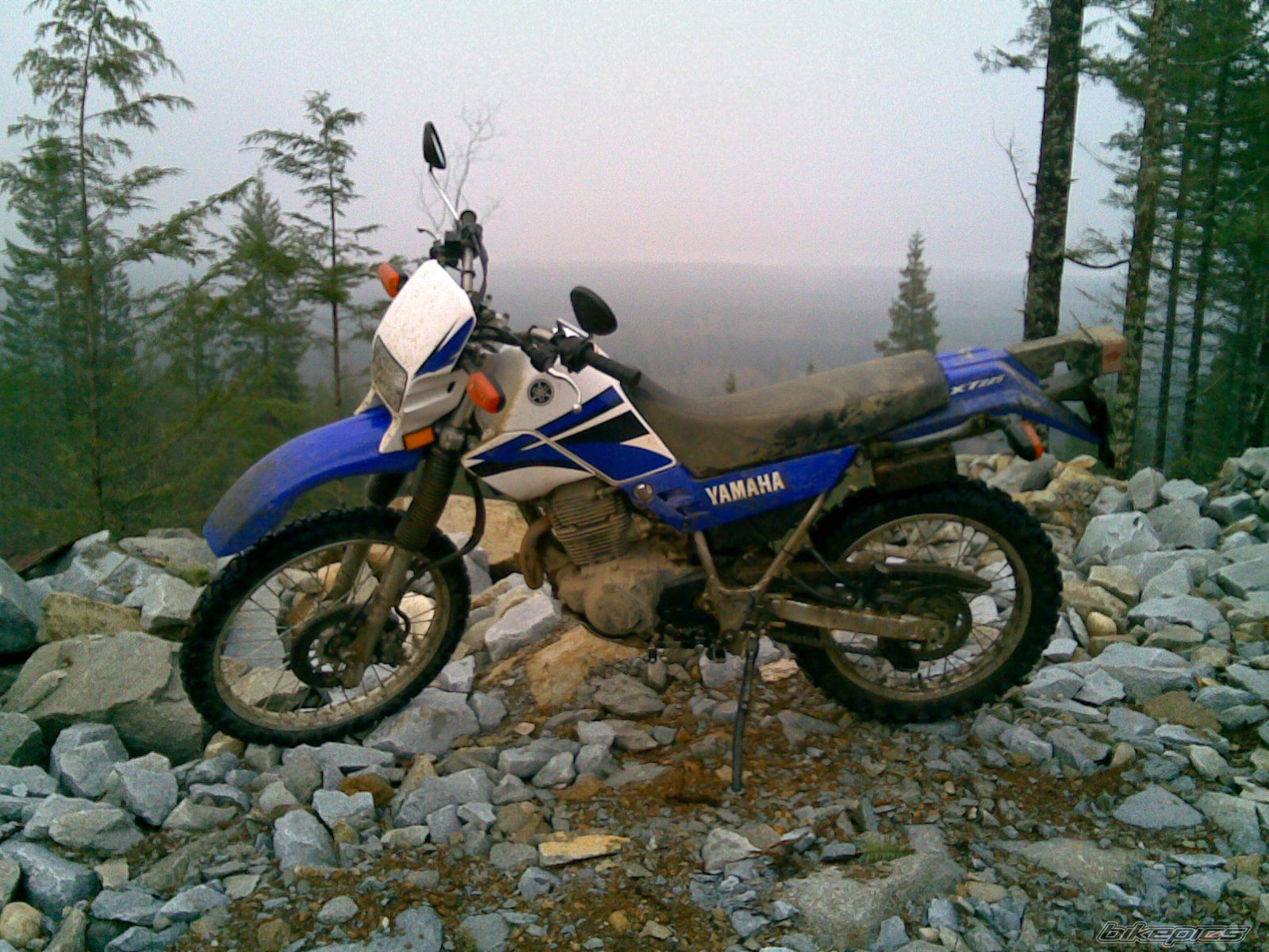 Photo 797881