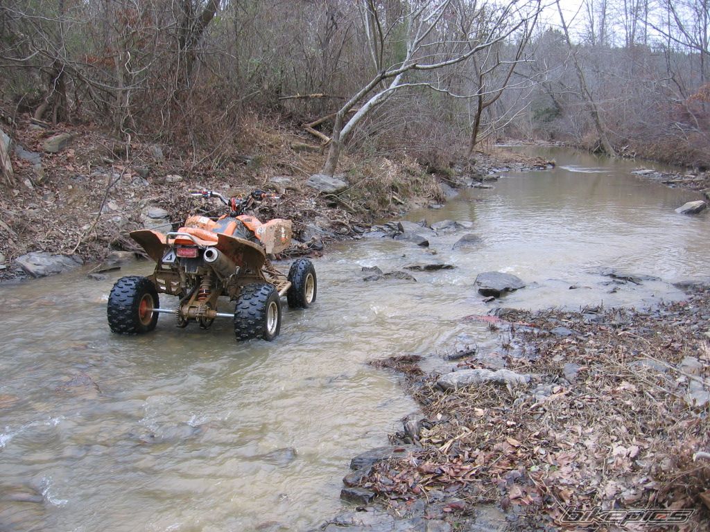 Photo 797894