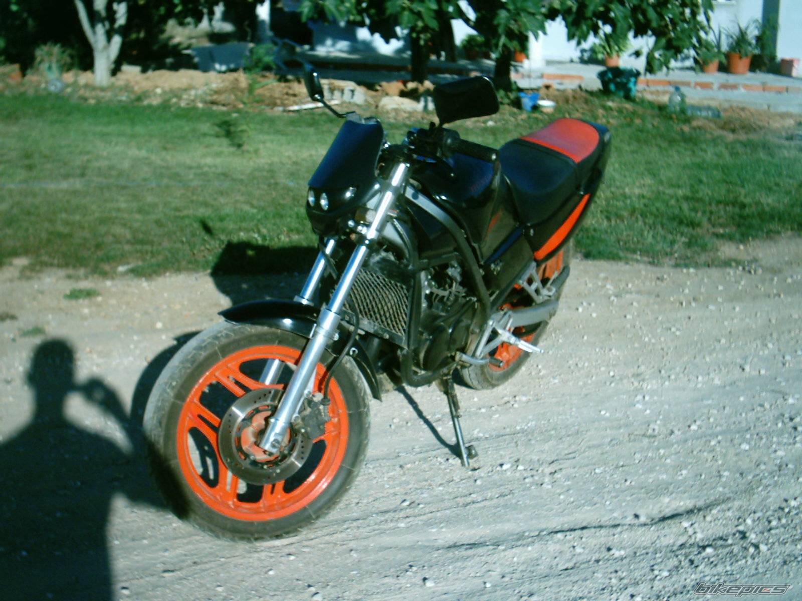 Photo 79790