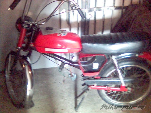 Photo 798004